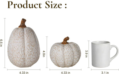 Fall Pumpkin Decor, Set of 2 Resin Pumpkins, Thanksgiving Decor | Elegant Textured White Pumpkins, Fall Decor Accent for Thanksgiving Table Centerpiece, Mantel, Shelf and Autumn Home Decor.3