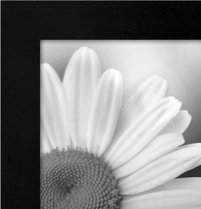 4X6 Picture Frame with Polished Plexiglass - Set of 12 - Signature Collection - Picture Frames with Engineered Wood - Photo Frame for Tabletop and Wall Display - Black8