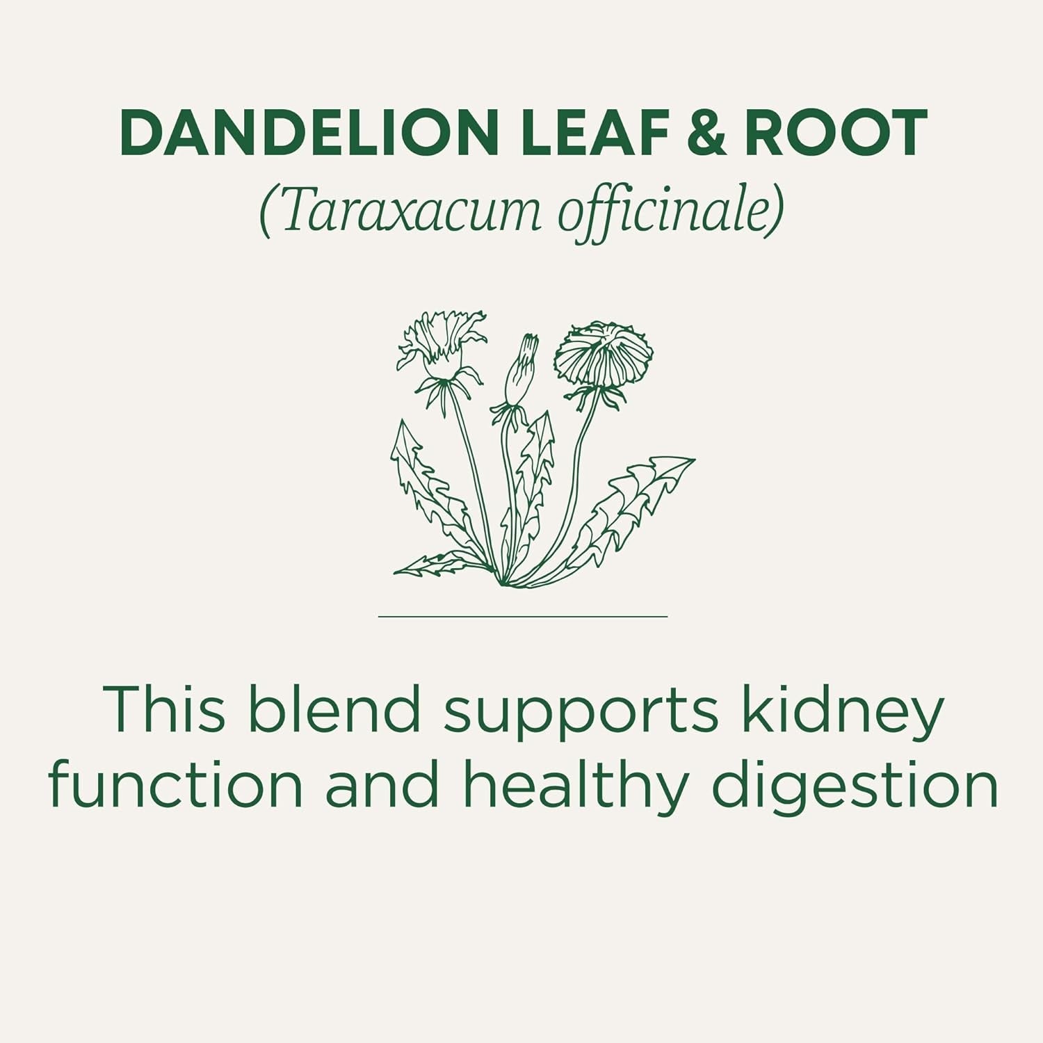 organic-dandelion-leaf-root-dandelion-root-tea-supports-normal-detox-digestion-kosher-non-gmo-caffeine-free-compostable-16-tea-bags