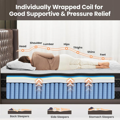 Firm Twin Mattress 12 Inch, Twin Size Hybrid Mattresses in a Box with Back and Lumbar Hip Support, Fiberglass Free, Certipur-Us Certified-365 Nights Trial & 10 Years Warranty3