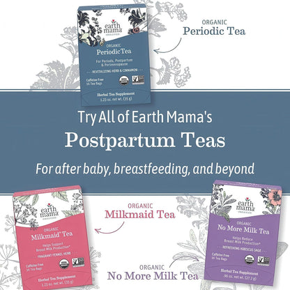 Organic Red Raspberry Leaf Tea | Labor Prep & Menstrual Support Herbal Tea, Pregnancy & Postpartum Care Recovery | 32 Teabags | Caffeine Free & Non-Gmo7