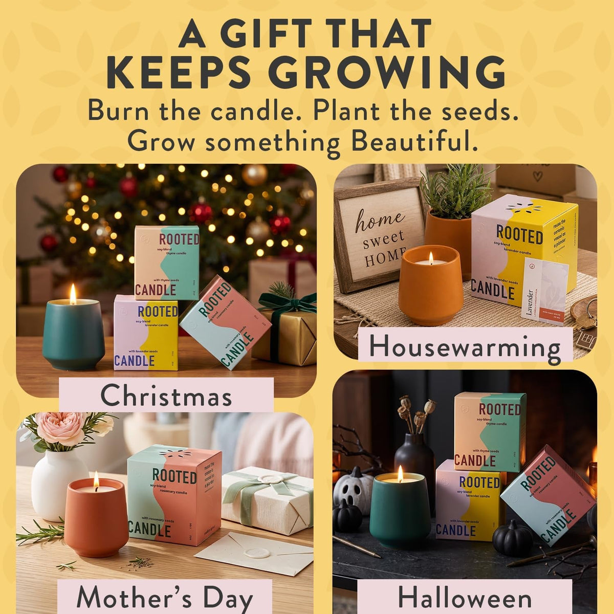 soy-candle-planter-grows-lavender-cedarwood-scent-6-oz