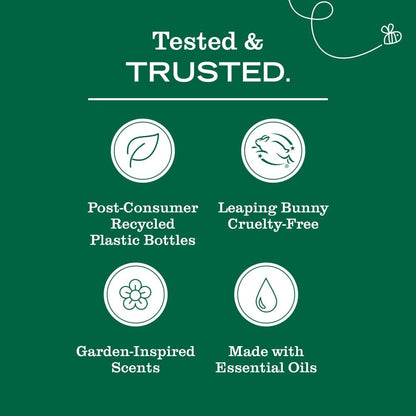 CLEAN DAY Scented Soy Candle, Basil Scent, 7.2 Ounce Candle (Pack - 1)7