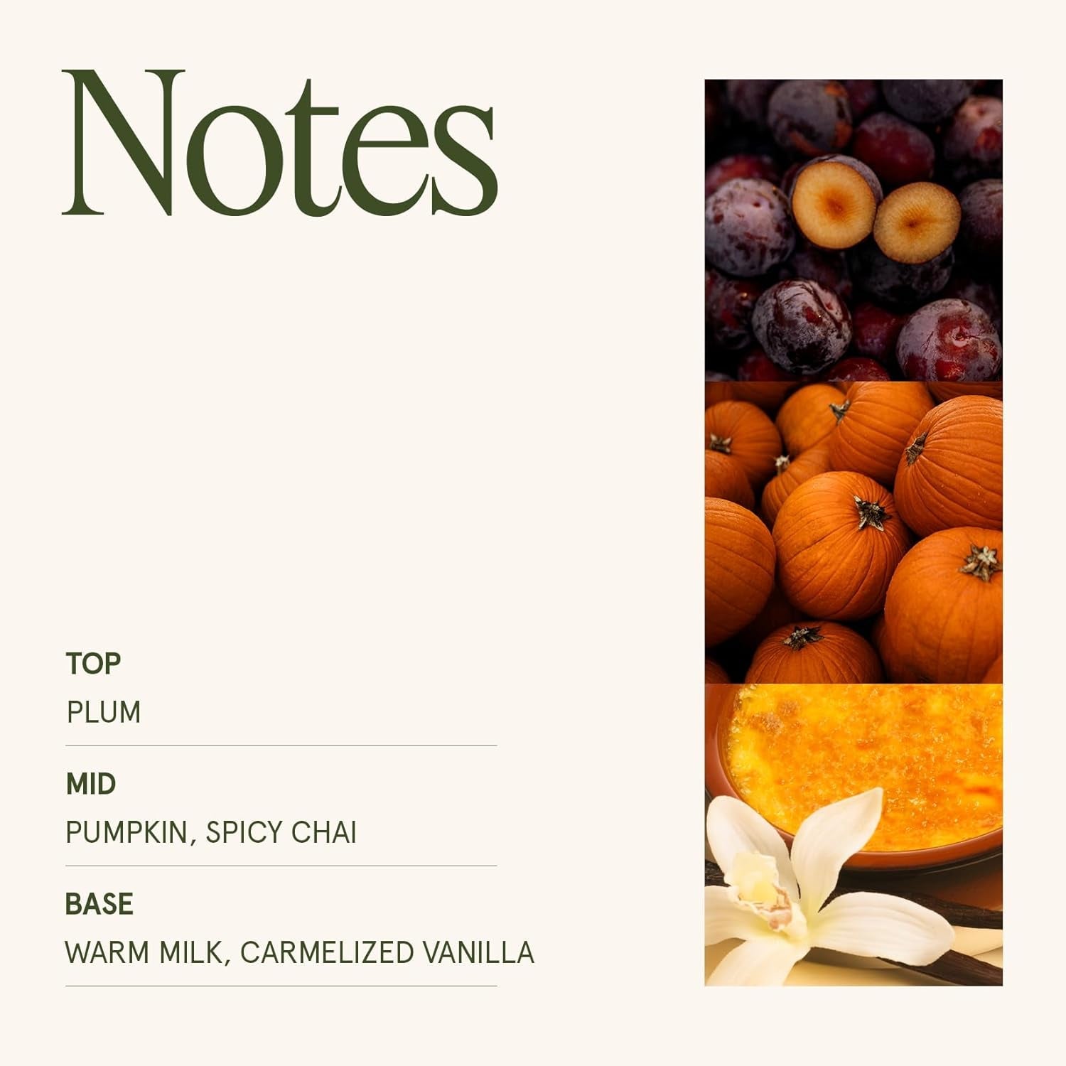 pumpkin-chai-scented-candles-for-home-19-oz-natural-soy-wax
