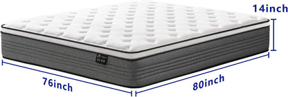 King Size Matresses, 14 Inch Pocketed Spring King Mattress in a Box2