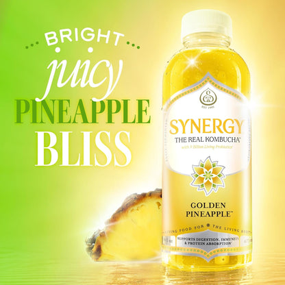 Golden Pineapple Kombucha 16 Fl Oz3