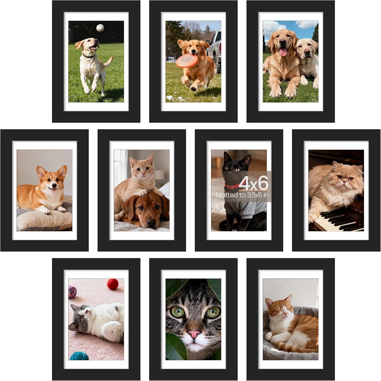 4x6-picture-frame-photo-collage-wall-decor-set-of-10-black