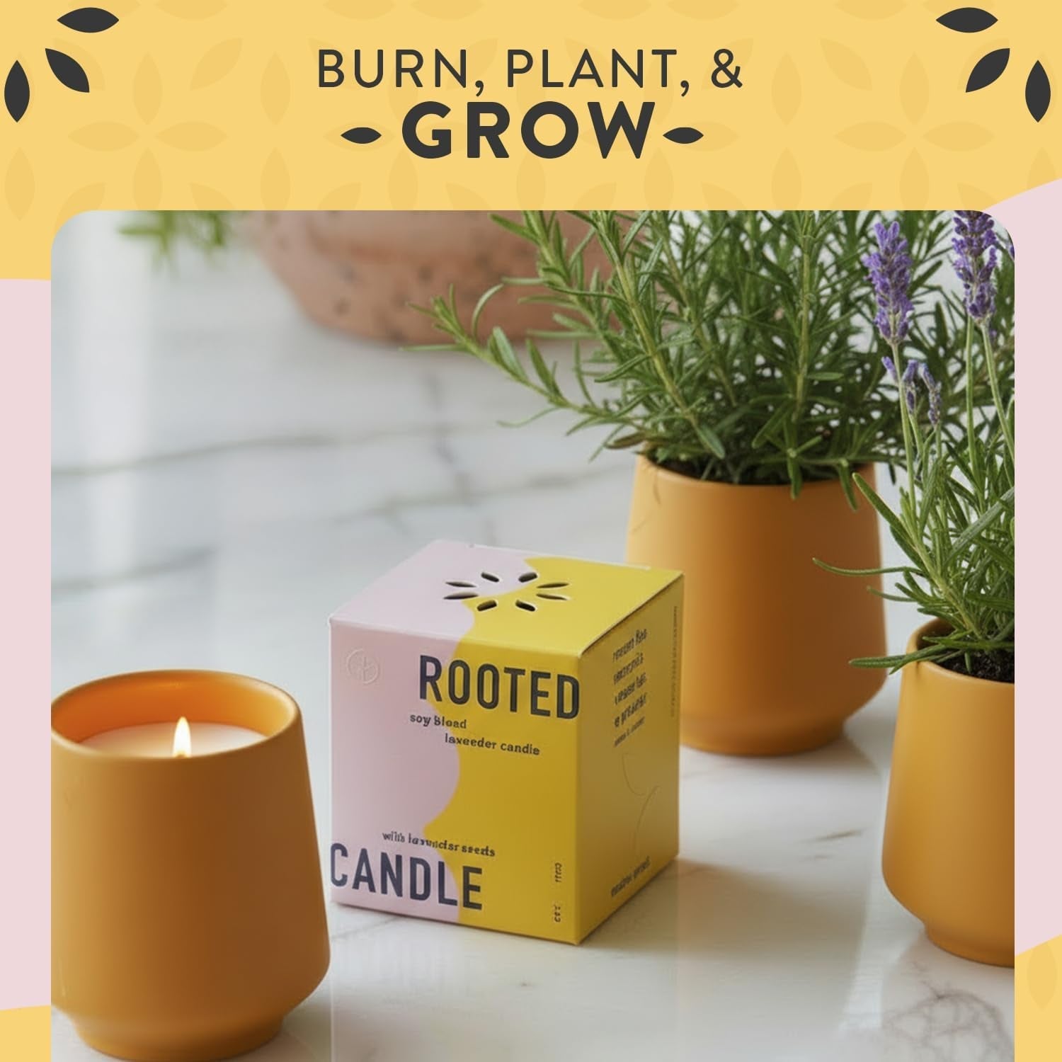 soy-candle-planter-grows-lavender-cedarwood-scent-6-oz
