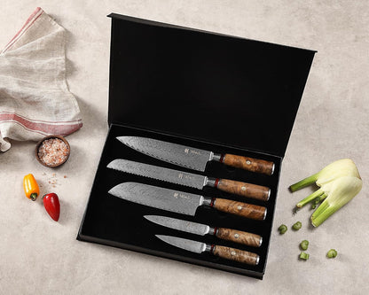 5-Piece Damascus Kitchen Knife Set with Magnetic Block, VG10 Core | Damascus Knife Set with Block: 67-Layer Damascus Steel, Sycamore Handles, Chef, Santoku, Bread, Utility and Paring Knives2
