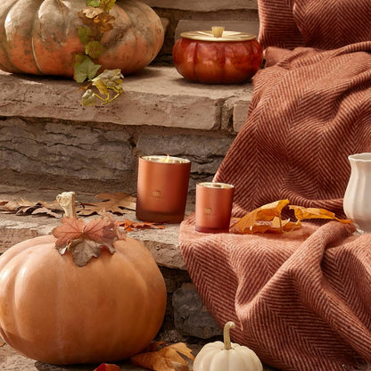 Thymes Scented Candles for Home Decor - Luxury Home Fragrance Gifts for Women & Men - Fall Candles with Creamy Pumpkin, Nutmeg, & Cinnamon - Burnt Orange (Pumpkin Laurel, 6.5 Oz)7
