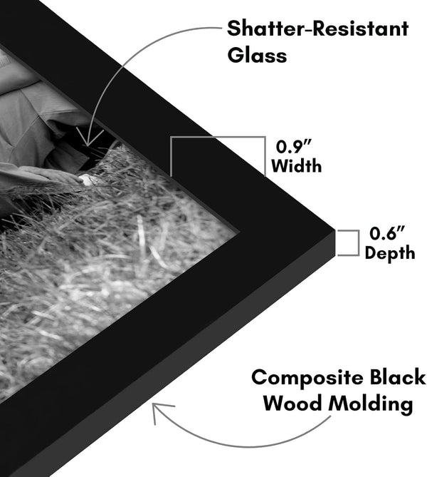 Gallery Wall Frame Set of 10 - Black3