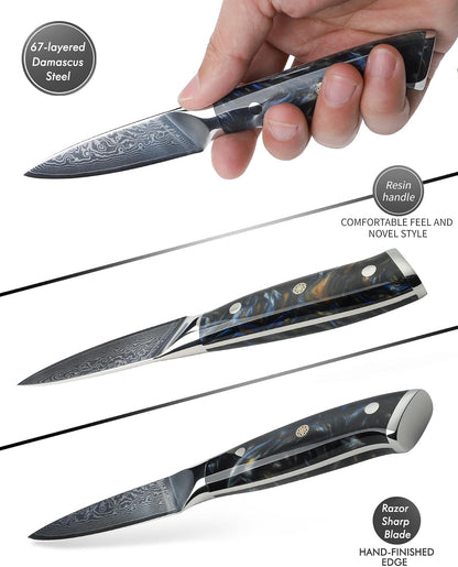 3.5 Inch Paring Knife - Kitchen Fruit Vegetable Knife Damascus Steel & Resin Handle - Xuan Series (Starry Black)3