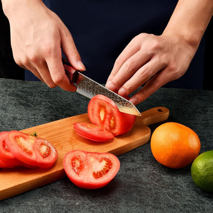 Kiritsuke Chef Knife 5 Inch, Japanese Damascus Knife 67-Layer Steel with G10 Handle - Sharp VG-10 High Carbon Stainless Steel for Home and Kitchen6
