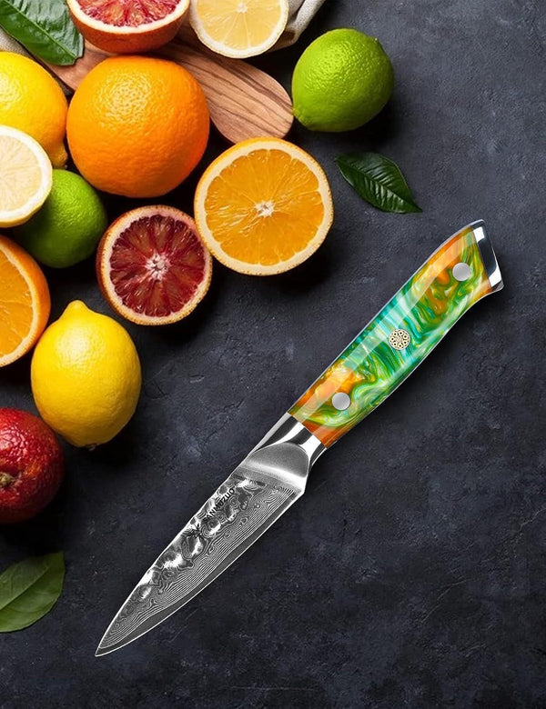 3.5 Inch Paring Knife - Fruit and Vegetable Peeling Knives, Forged Damascus Steel & Resin Handle - YAO Series5