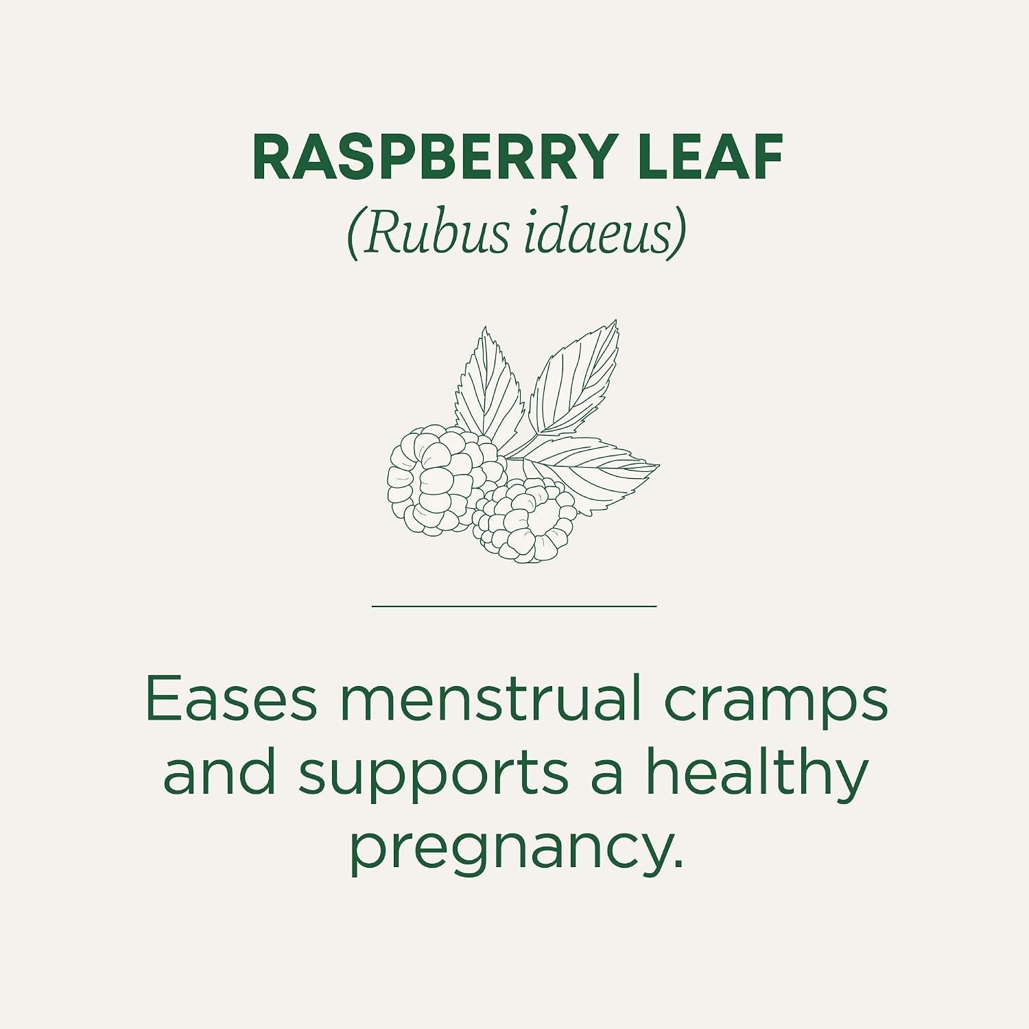 organic-raspberry-leaf-herbal-tea-eases-menstrual-cramps-supports-healthy-pregnancy-pack-of-1-16-tea-bags