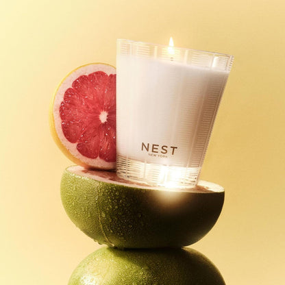 NEST New York Scented Classic Candle, Grapefruit - 8.1 Oz - up to 60-Hour Burn Time - Reusable Glass Vessel3