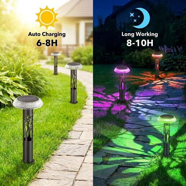 Solar Pathway Lights Outdoor, Large Stainless Steel Garden Lights, 6 Pack5