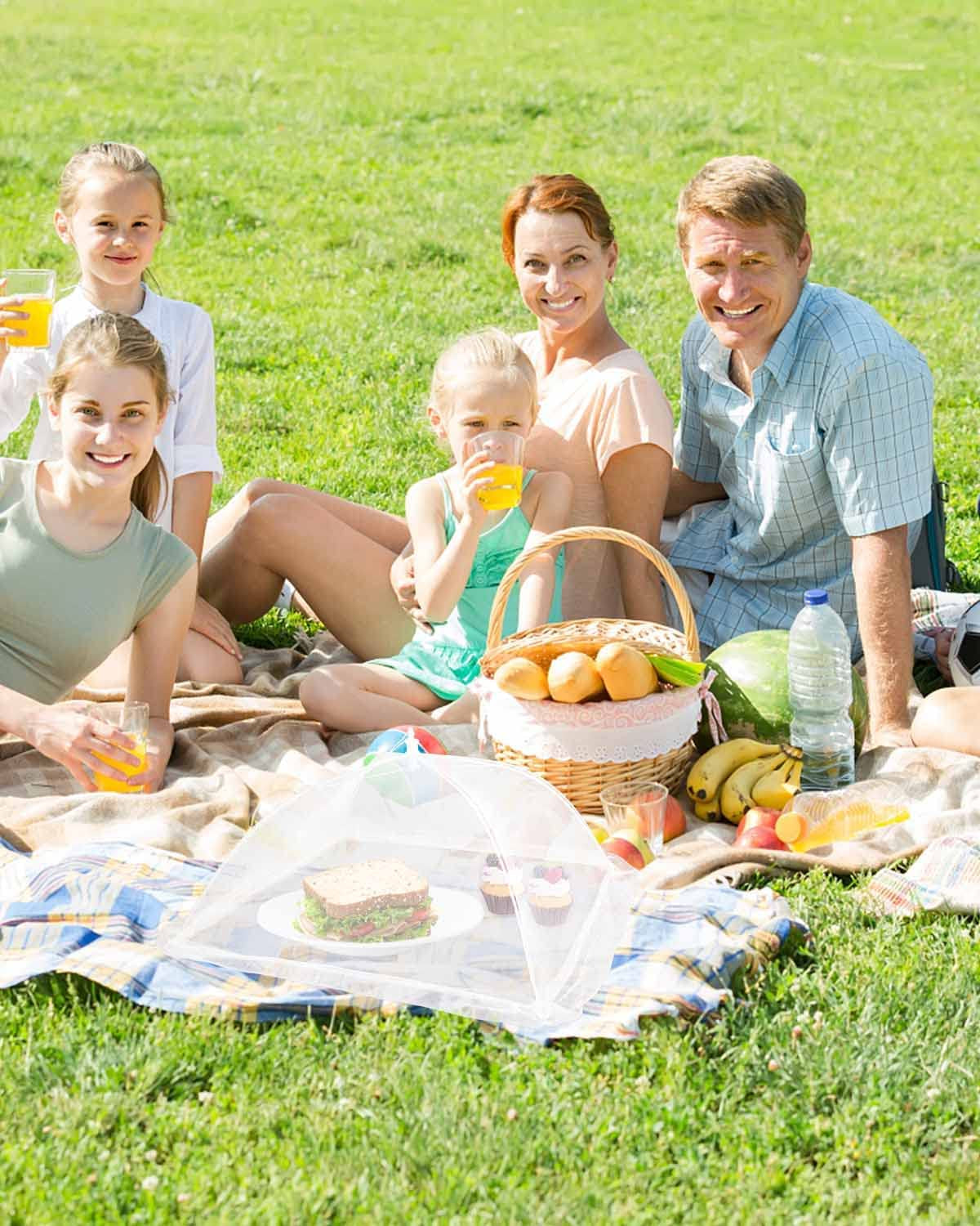 large-food-cover-6-pack-mesh-food-tent-17x17-white-nylon-covers-pop-up-umbrella-screen-tents-patio-net-for-outdoor-camping-picnics-parties-bbq-collapsible-and-reusable