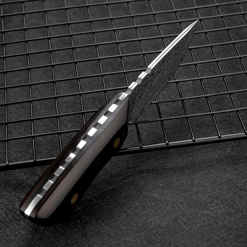 meat-cleaver-3-5-inch-mini-pocket-fruit-knife-full-tang-67-storey-damascus-steel-vg10-ultra-sharp-kitchen-tools-ebon-handle-with-knife-sleeve