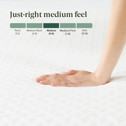Zinus 10 Inch Green Tea Essential Memory Foam Mattress [New Version], Queen, Fiberglass Free, Medium Feel, Breathable Airflow Memory Foam, Certified Safe Foams & Fabric, Bed-In-A-Box, Queen6