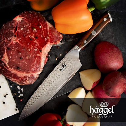 Professional Chef Knife for All-Around Food Preparation Ultra-Sharp 8 Inch Kitchen Knife Hand Hammered VG10 Stainless Steel Knife Best Gifts for Chefs3