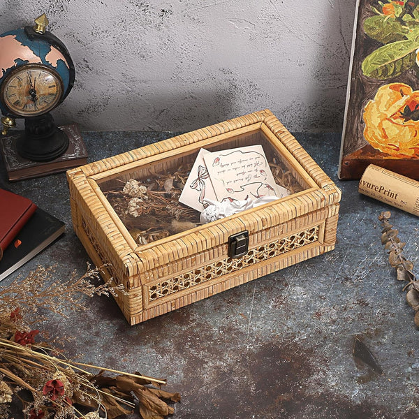 Rattan Display Box with Clear Lid Rectangular Wicker Storage Basket3