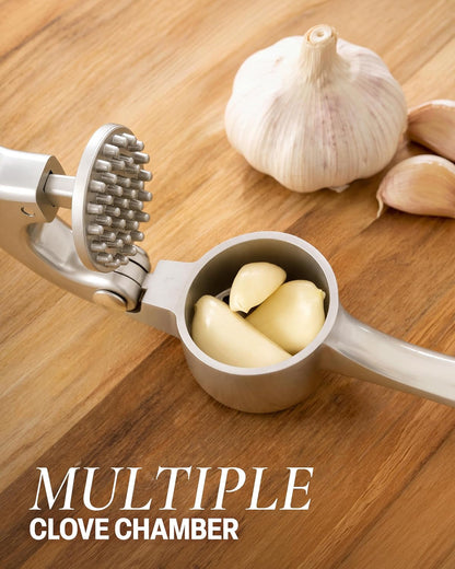 Premium Garlic Press Set - Rust Proof Professional Garlic Mincer Tool - Easy-Squeeze, Easy-Clean with Soft, Ergonomic Handle - Silicone Garlic Peeler & Brush (Silver)4