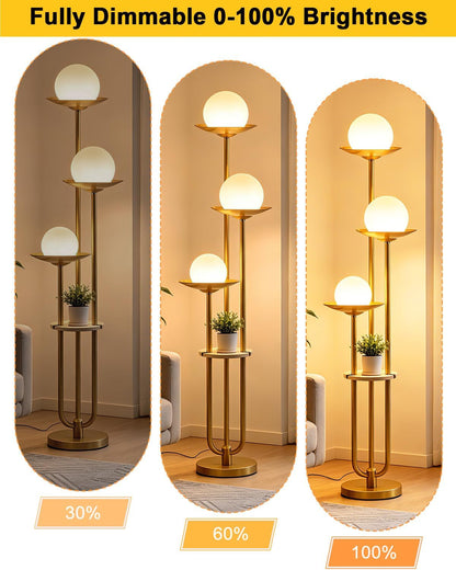 63IN Globe Floor Lamp with Shelf 3-Lights Modern Dimmable Floor Lamps with 3000K Soft Warm White Bulbs for Wedding/Party, Gold Tall Standing Lamp with 5Lbs Heavy Base for Living Room/Bedroom2
