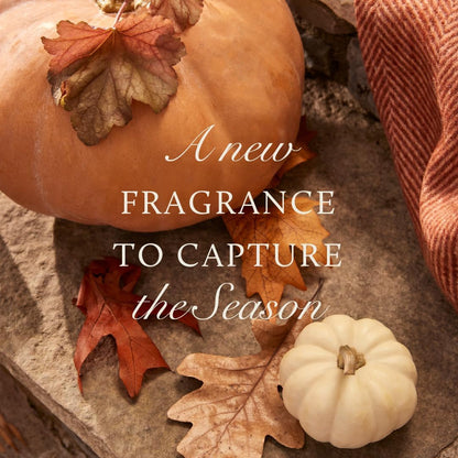 Thymes Scented Candles for Home Decor - Luxury Home Fragrance Gifts for Women & Men - Fall Candles with Creamy Pumpkin, Nutmeg, & Cinnamon - Burnt Orange (Pumpkin Laurel, 6.5 Oz)5