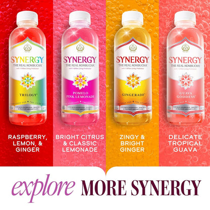 the Real Kombucha - Blood Orange - 16 Fl Oz Bottle - Raw Probiotic Drink for Gut Health and Immune Support8