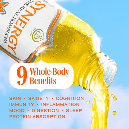 SYNERGY the Real Kombucha - Mystic Mango - 16 Fl Oz Bottle - Raw Probiotic Drink for Gut Health and Immune Support4