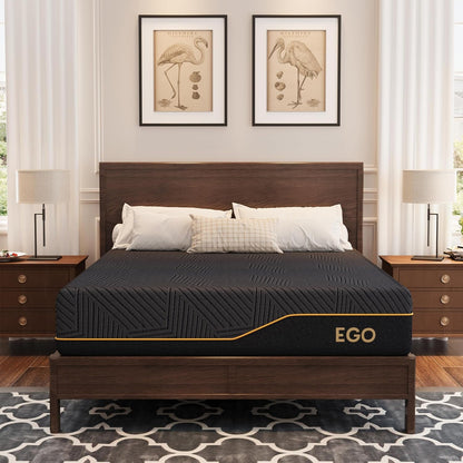 EGOHOME Queen 12 Inch Memory Foam Mattress for Back Pain Relief Firm1