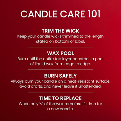 , Macintosh Scented Candle, 20Oz Classic 2-Wick Tumbler with up to 80 Hour Burn Time5