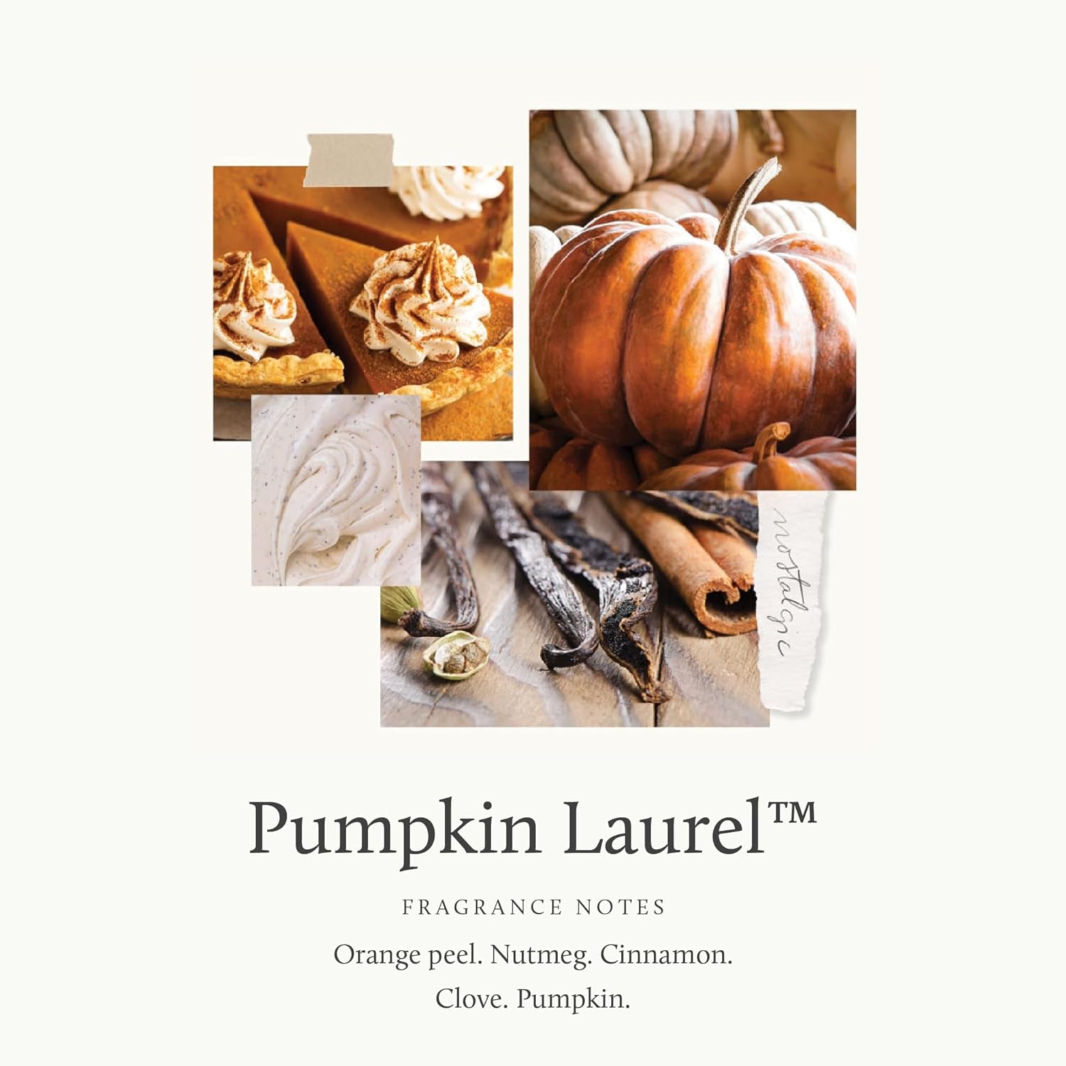 thymes-scented-candles-for-home-decor-luxury-home-fragrance-gifts-for-women-men-fall-candles-with-creamy-pumpkin-nutmeg-cinnamon-burnt-orange-pumpkin-laurel-6-5-oz