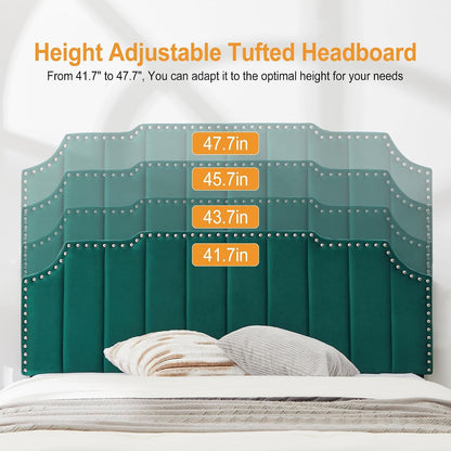 Full Size Velvet Upholstered Platform Bed Frame with Nailhead Trim,Tufted Height Adjustable Headboard,Full Bed with Wooden Slats/Mattress Foundatio/No Box Spring Needed/Under Bed Storage6