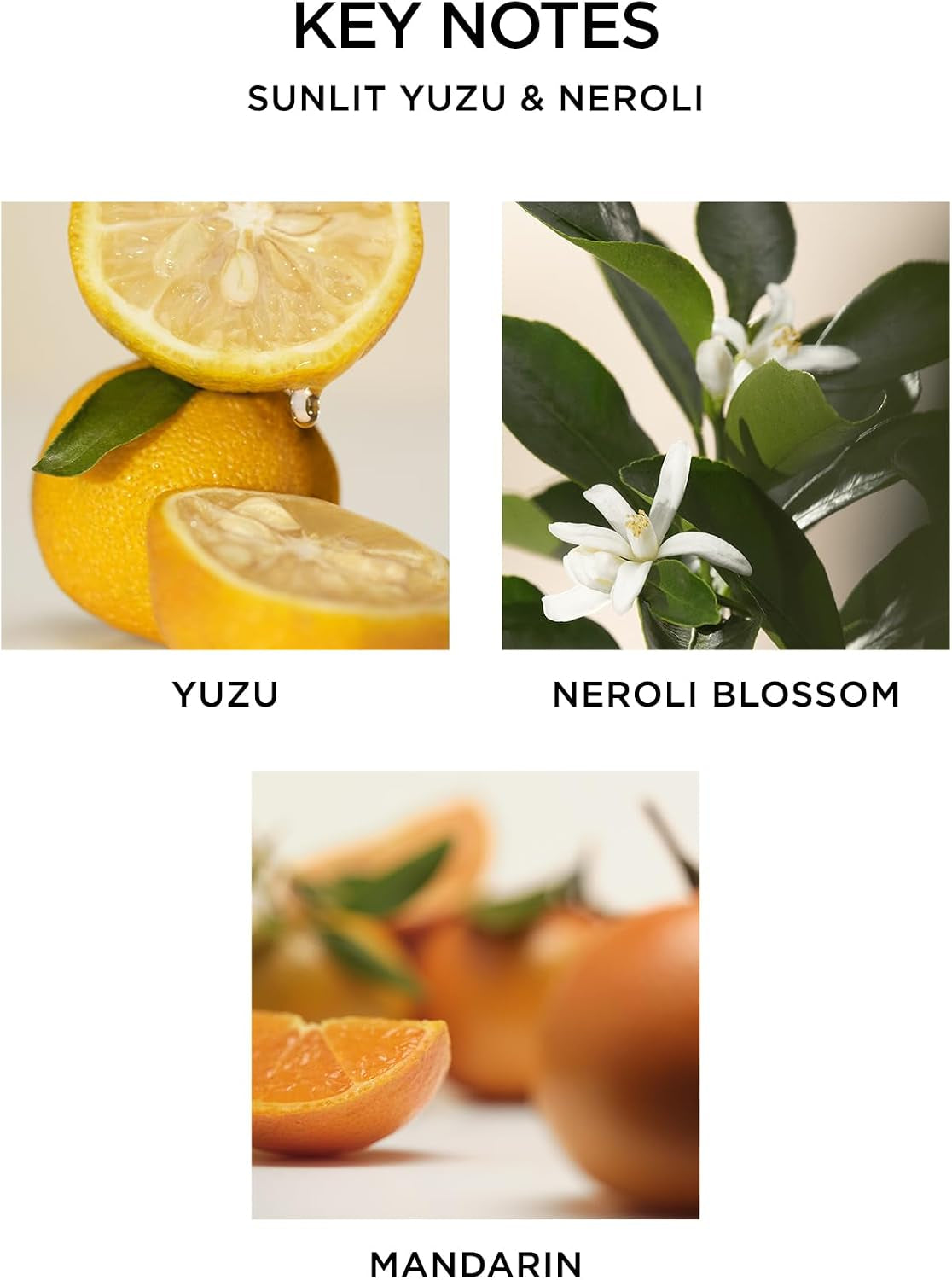 nest-new-york-scented-classic-candle-sunlit-yuzu-neroli-8-1-oz-up-to-60-hour-burn-time-reusable-glass-vessel