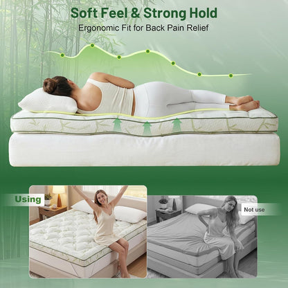 3 Inch Queen Mattress Topper, Pressure Relieving for Back & Hip3