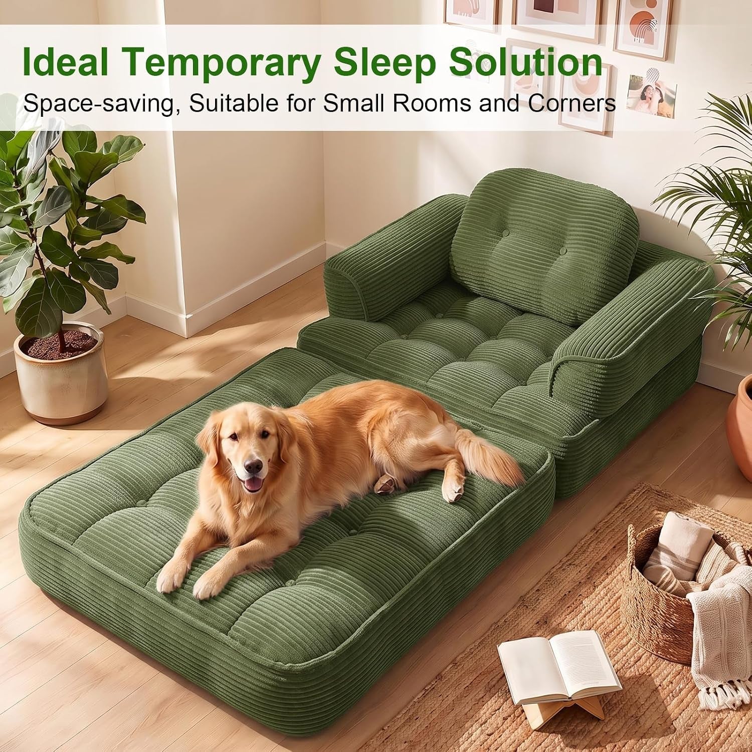 folding-sofa-bed-2-in-1-convertible-sleeper-chair-for-living-room