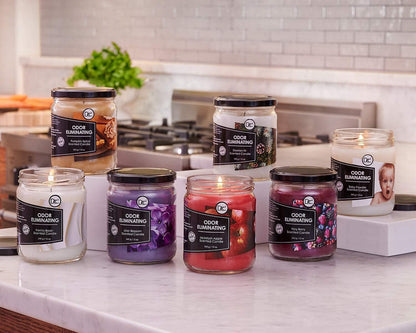 Vanilla Bean Odor Eliminating Highly Fragranced Candle - Eliminates 95% of Pet, Smoke, Food, and Other Smells Quickly - up to 80 Hour Burn Time - 12 Ounce Premium Soy Blend6