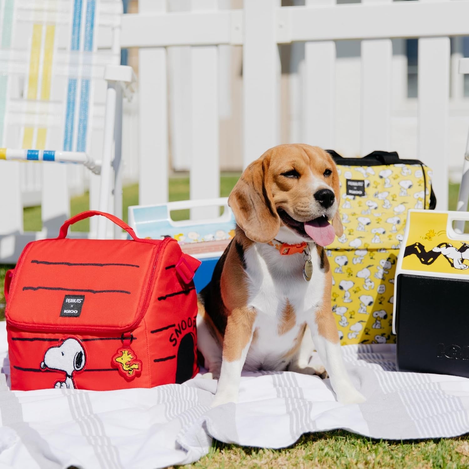 snoopy-s-house-16-can-lunch-pail