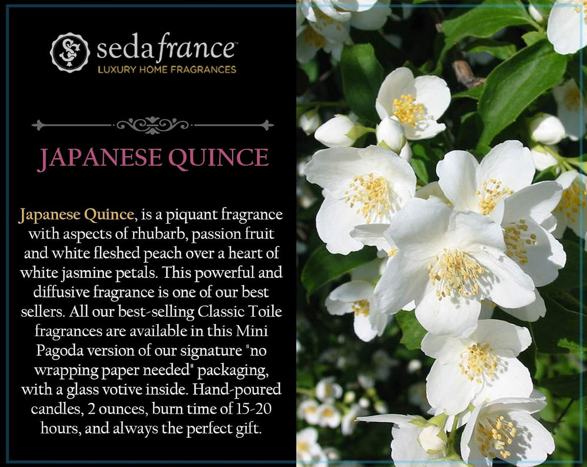 japanese-quince-candle