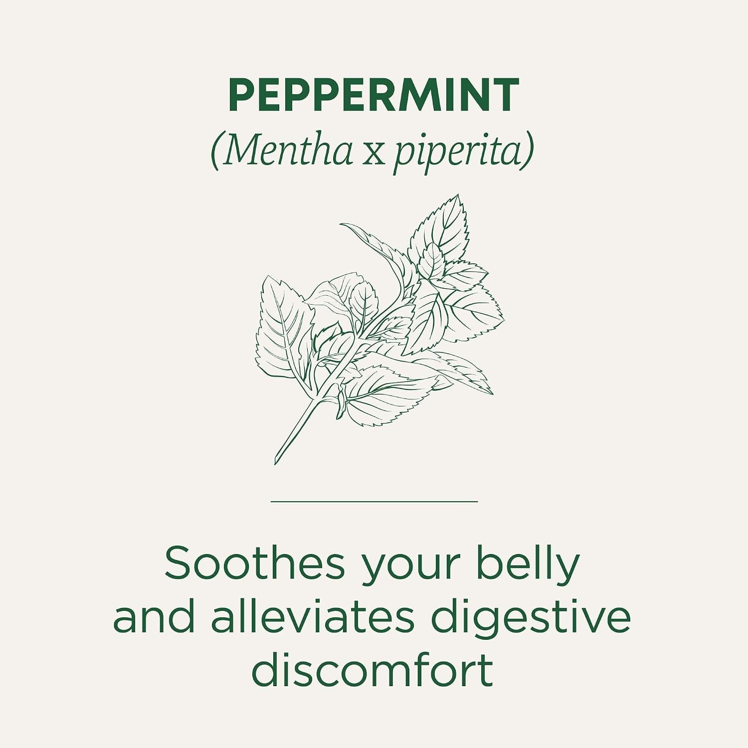 organic-peppermint-16-tea-bags-helps-soothe-belly-from-occasional-gas-and-bloating-kosher-non-gmo-caffeine-free-compostable