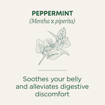 Organic Peppermint, 16 Tea Bags | Helps Soothe Belly from Occasional Gas and Bloating, Kosher, Non-Gmo, Caffeine-Free, Compostable3