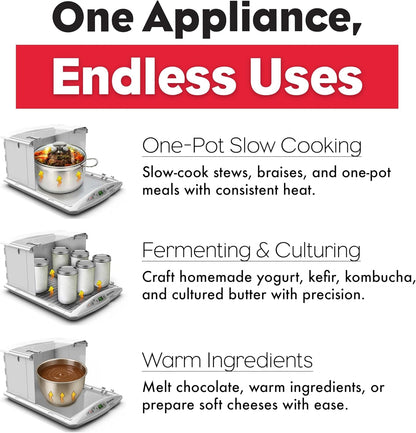 Folding Proofer & Slow Cooker (Proofer)7