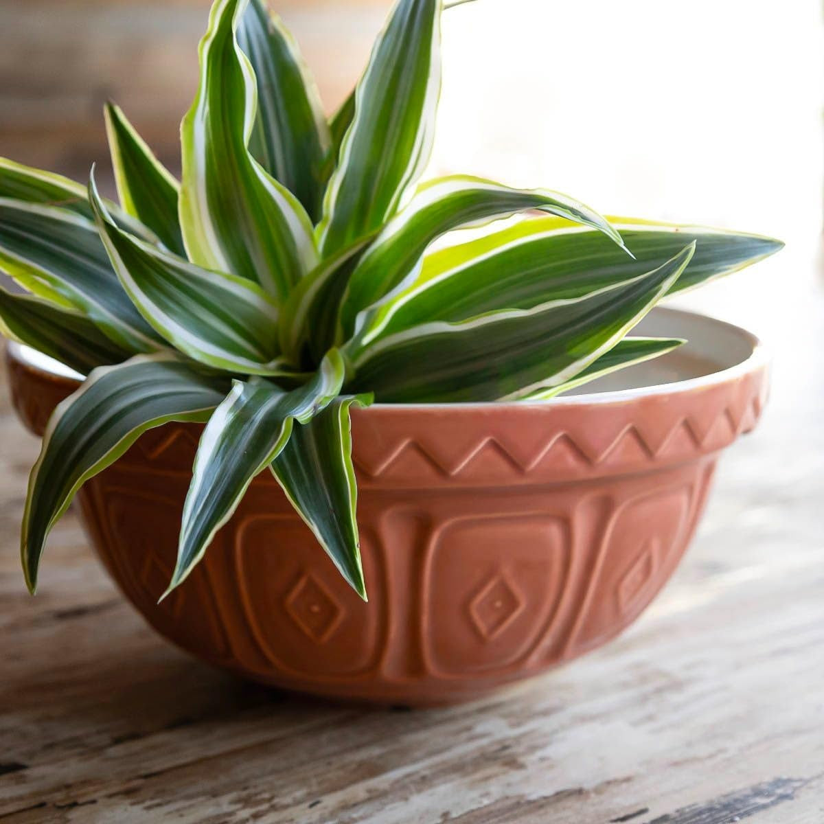 the-greenhouse-s24-2-qt-mixing-bowl-terracotta