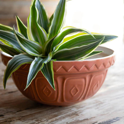 the Greenhouse S24 (2 Qt) Mixing Bowl | Terracotta4