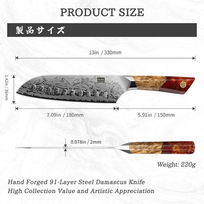 Damascus Chef Knife, SG2 Powder Steel Japanese Kitchen Knife2