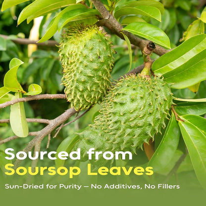 Soursop Leaves Tea Bags, 40 Counts, Hojas De Guanabana, Non-Gmo | Pure Dried Graviola Leaf, Caffeine-Free, Gentle Digestive Comfort, Supports Skin & Sleep , No Additives, Resealable Pouch3