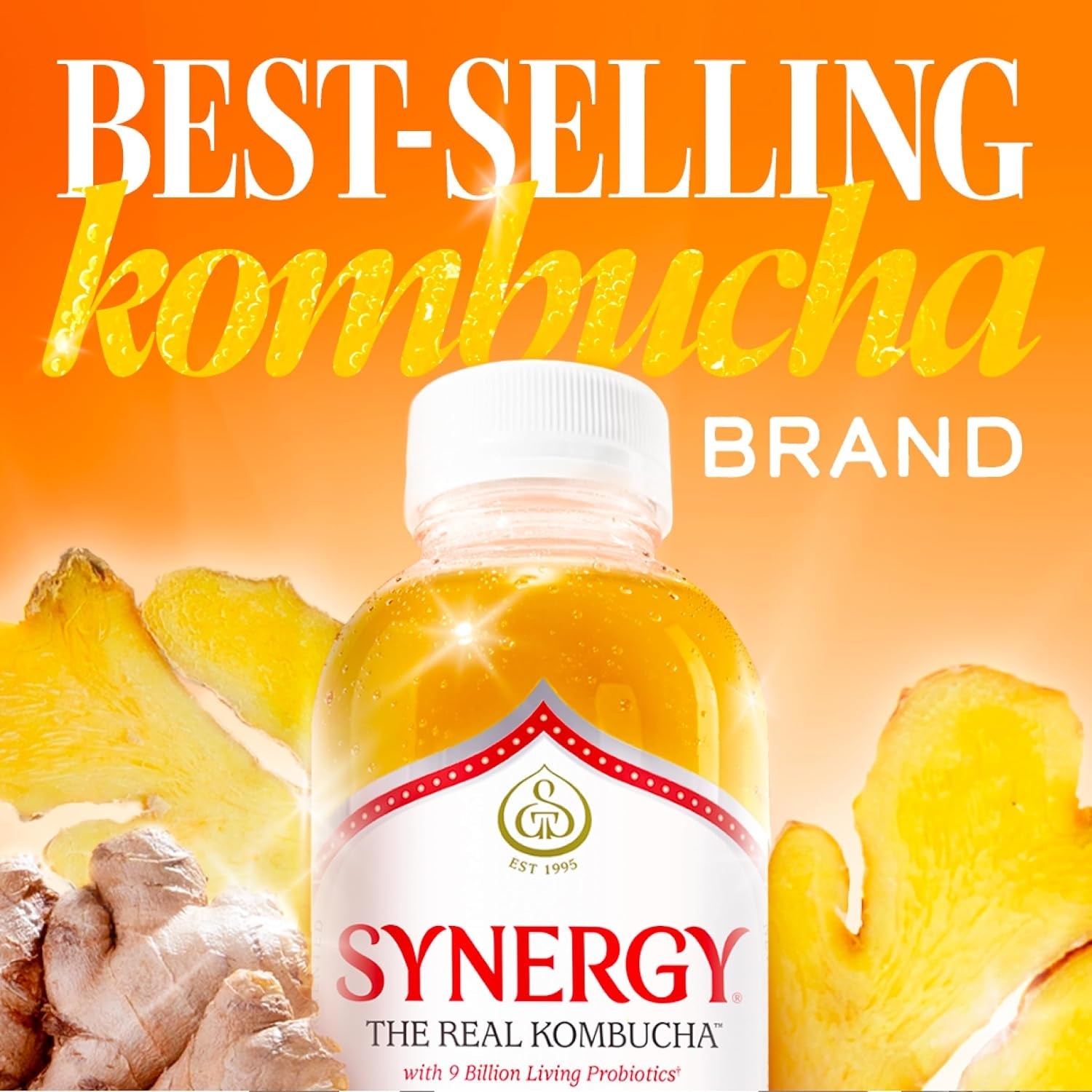 the-real-kombucha-gingerade-16-fl-oz-bottle-raw-probiotic-drink-for-gut-health-and-immune-support
