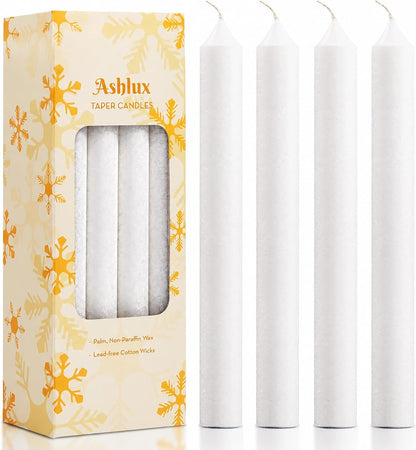Palm Taper Candles 12Pack, 10 Inch Unscented Dripelss Candlesticks1